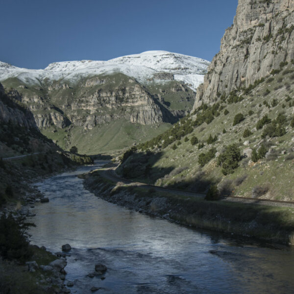 Canyon in Spring